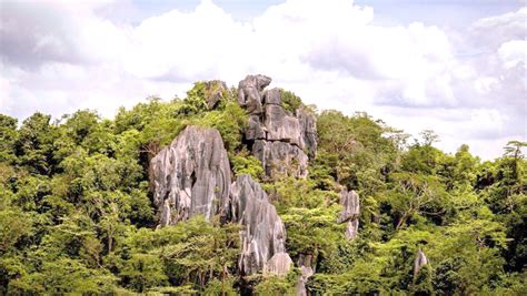 r celebs ph|More celebs call for protection of Masungi .